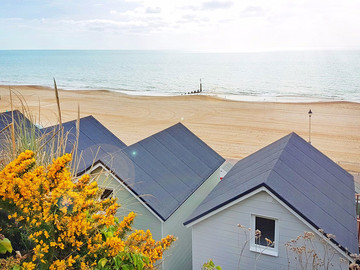 IP Bournemouth  | IP Борнмут