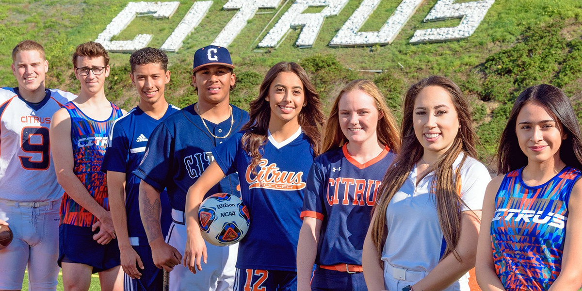 citrus-website-banner-4